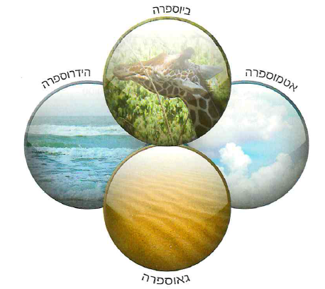 (בספר תמונה 1)